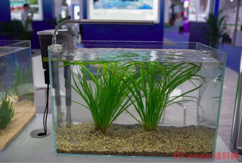 來高交會,見證環?？萍夹铝α? class=