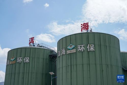 有機廢物變環(huán)保產(chǎn)品 保護洱海有妙招