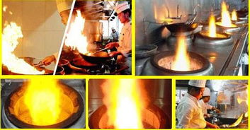 英美環?？萍兼谟托履茉锤采w需求廣泛