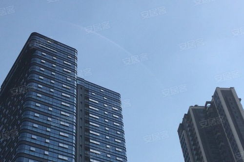 金地壹粵府綜合評析 優(yōu)勢、不足與市場口碑